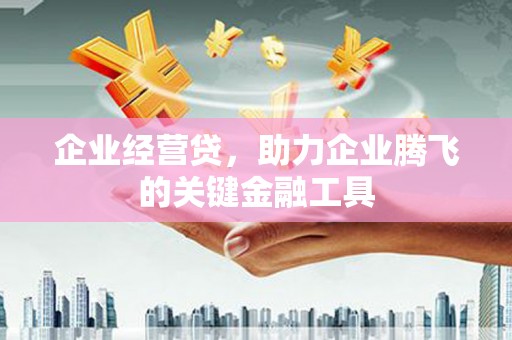 清流企业经营贷，助力企业腾飞的关键金融工具