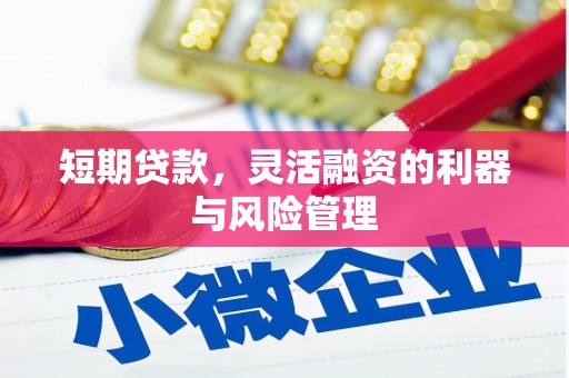 西畴短期贷款，灵活融资的利器与风险管理