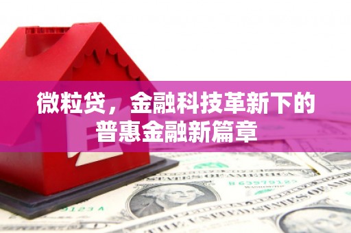 海兴微粒贷，金融科技革新下的普惠金融新篇章