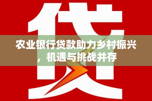 龙湾农业银行贷款助力乡村振兴，机遇与挑战并存