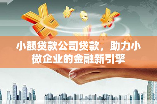 托里小额贷款公司贷款，助力小微企业的金融新引擎