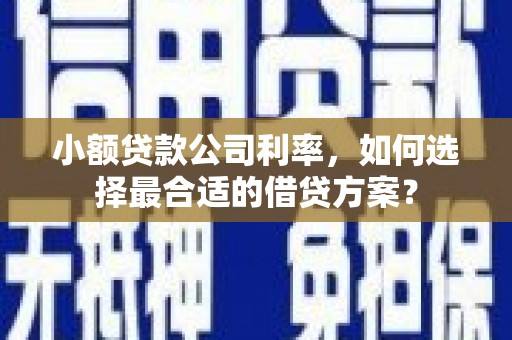 西丰小额贷款公司利率，如何选择最合适的借贷方案？
