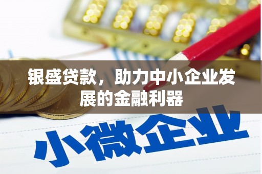 庐江银盛贷款，助力中小企业发展的金融利器