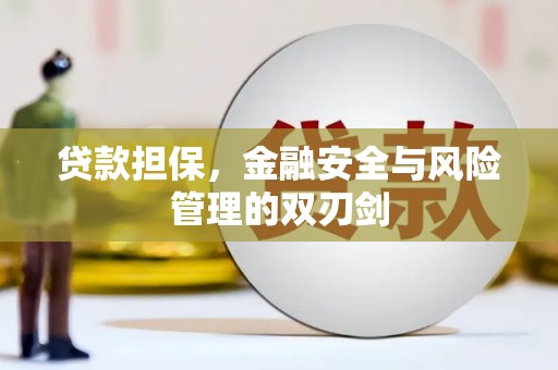 甲仙贷款担保，金融安全与风险管理的双刃剑