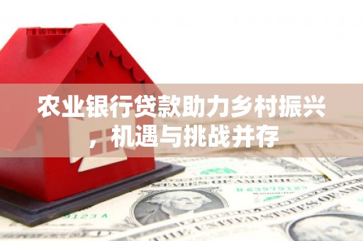 丹徒农业银行贷款助力乡村振兴，机遇与挑战并存