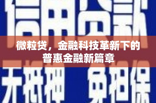 泰来微粒贷，金融科技革新下的普惠金融新篇章