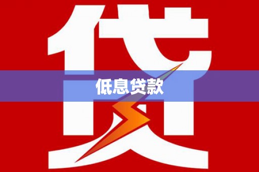 西林低息贷款