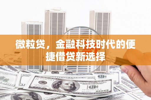蓟县微粒贷，金融科技时代的便捷借贷新选择