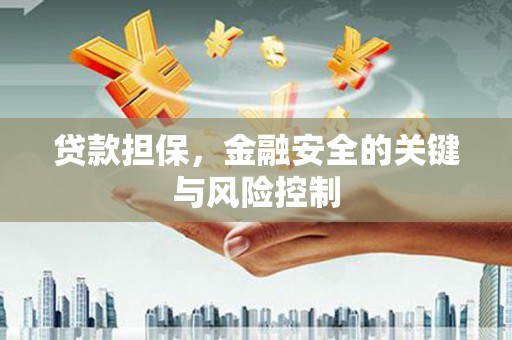 长丰贷款担保，金融安全的关键与风险控制