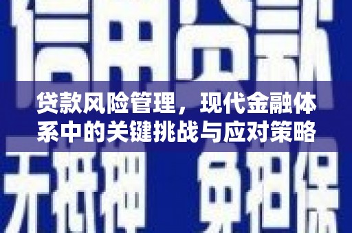 樊城贷款风险管理，现代金融体系中的关键挑战与应对策略