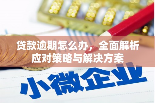 涟水贷款逾期怎么办，全面解析应对策略与解决方案