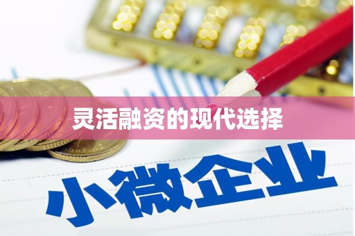 雨山灵活融资的现代选择