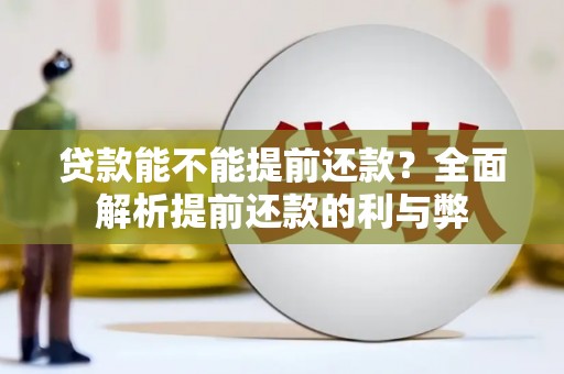 宁晋贷款能不能提前还款？全面解析提前还款的利与弊