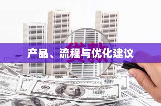 隆子产品、流程与优化建议