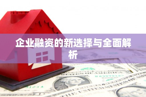 南城企业融资的新选择与全面解析