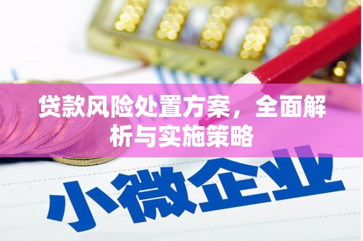 贺州贷款风险处置方案，全面解析与实施策略