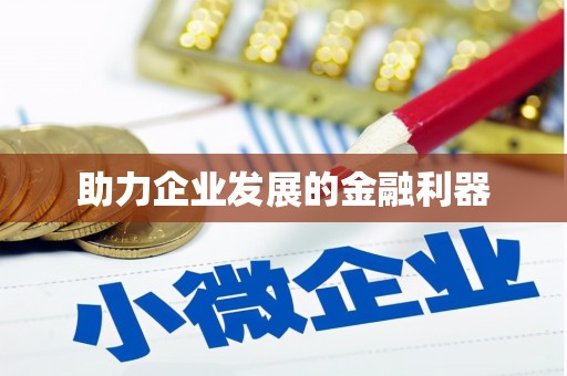 邵东助力企业发展的金融利器