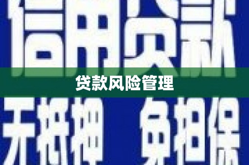 华龙贷款风险管理